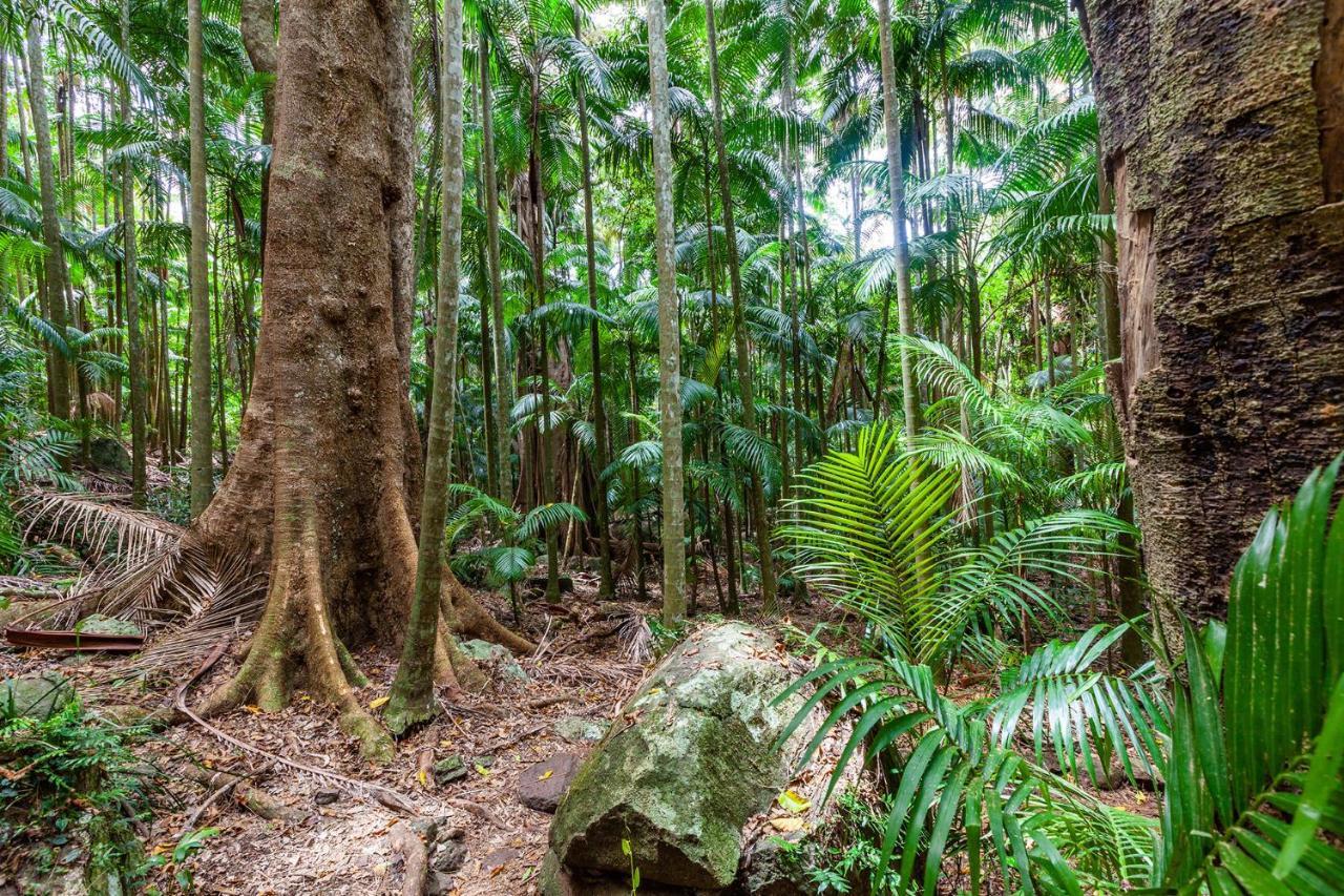 Chambers Wildlife Rainforest Lodges Lake Eacham Zewnętrze zdjęcie