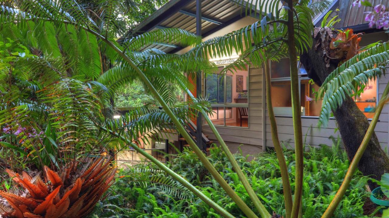 Chambers Wildlife Rainforest Lodges Lake Eacham Zewnętrze zdjęcie