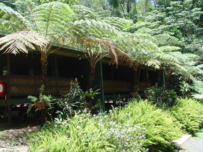Chambers Wildlife Rainforest Lodges Lake Eacham Zewnętrze zdjęcie